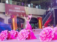 上海演出节目经纪公司 艺术与市场的完美桥梁