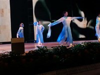 专业演艺服务，连接舞台梦想——山东辰艺文化演出经纪工作室全国演员输出服务