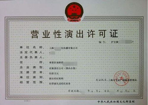 演出经纪机构与文艺表演团体 角色与职能的核心差异解析